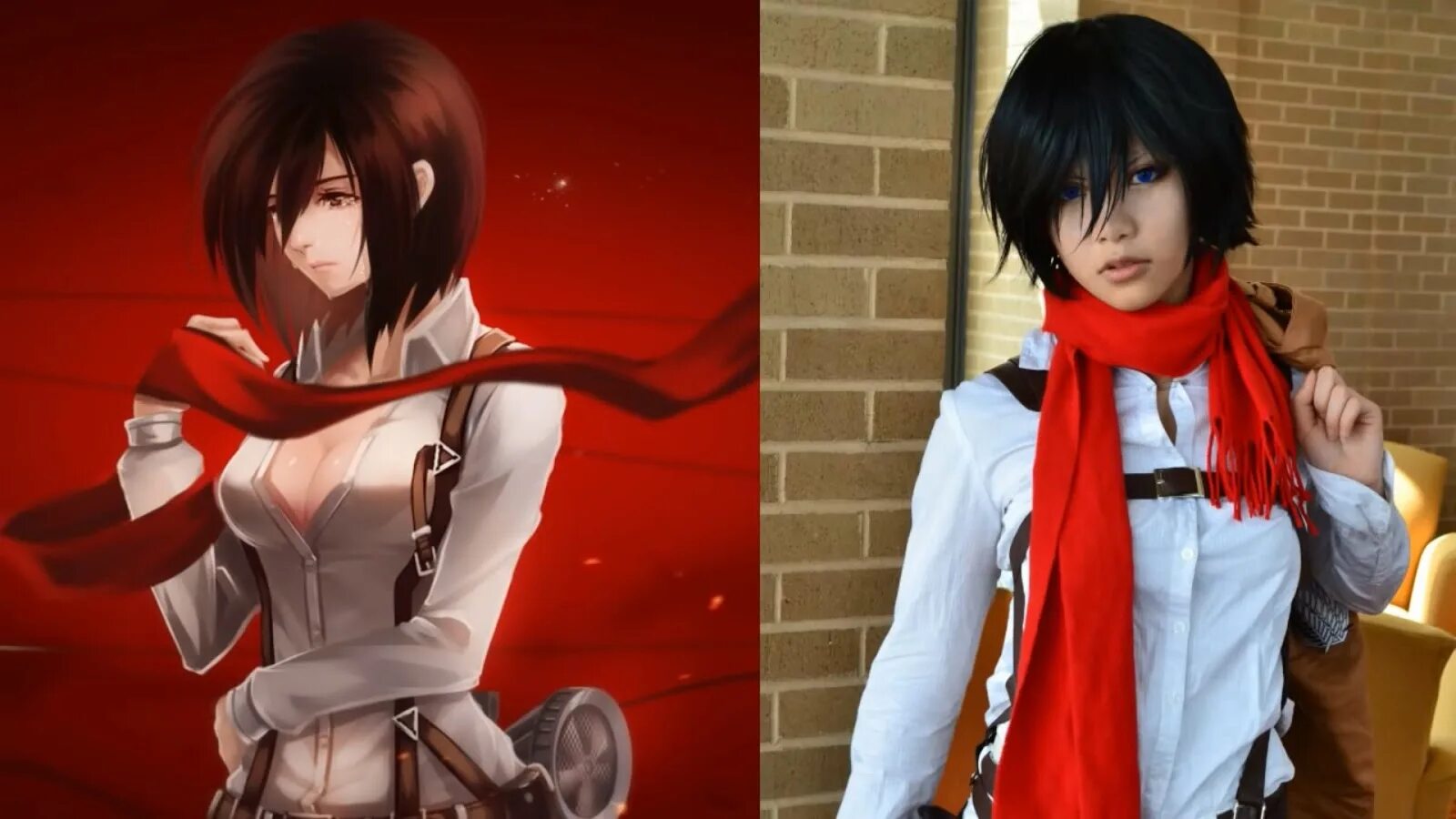 Mikasa cosplay. Микаса Аккерман Cosplay. Микаса Аккерман косплей. Микаса пак косплей. Микаса косплей Катя.