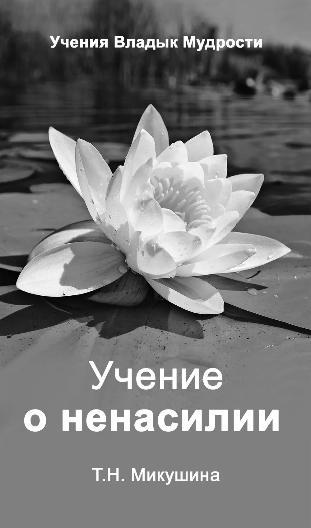 Как раскрываются отношения могучего владыки и мудрого