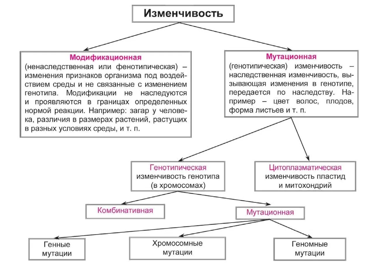 Изменчивость признаков виды изменчивости 10 класс. Типы наследственной изменчивости таблица. Таблица типы изменчивости биология 9 класс. Основные формы изменчивости генотипическая изменчивость таблица. Биология 9 класс таблицы наследственная изменчивость.