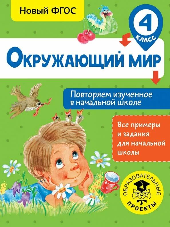Фгос окружающий мир в начальной школе. Повторение изученного в 2 классе окружающий мир. Фгос начальная школа окружающий мир. Фгос. Фгос окружающий мир в начальной школе.