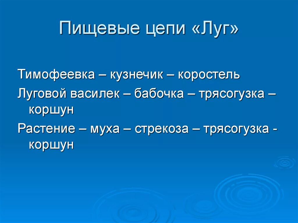 Биология цепь питания луга. Цепь питания луг. Пищевая цепочка. Пищевая цепь луг. Луговая пищевая цепочка.