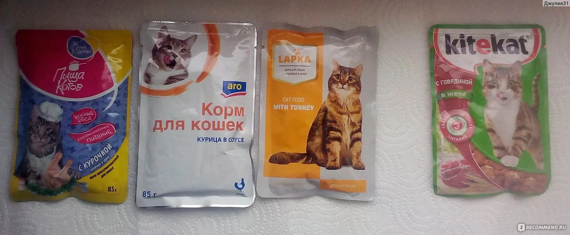 Сколько стоит пакетик корма для кошек. Дешевый кошачий корм в пакетиках. Самый дешевый кошачий корм в пакетиках. Корм в пакетиках премиум для котят. Корм ы пакетиках дл кошек.