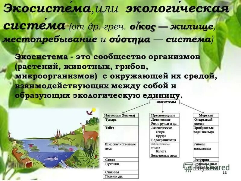 Экология сообществ называется. Экосистема окружающей среды. Примеры экосистем. Экологическая система примеры. Экосистема это в экологии.