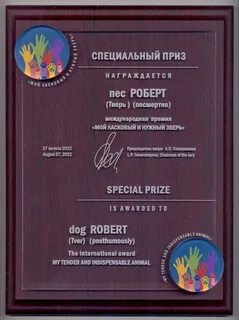 Премия мой ласковый