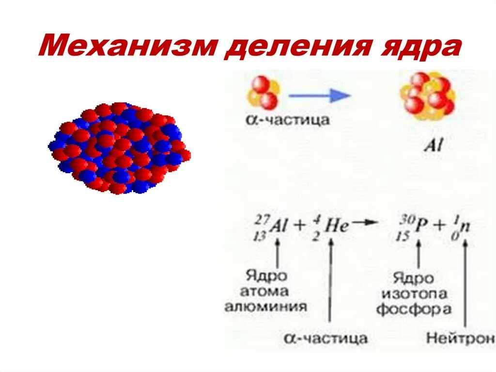 Деление урана уравнение. Механизм деления атомного ядра. Схема деления ядер урана. Деление тяжелых ядер схема. Частицы ядра ядерные реакции.