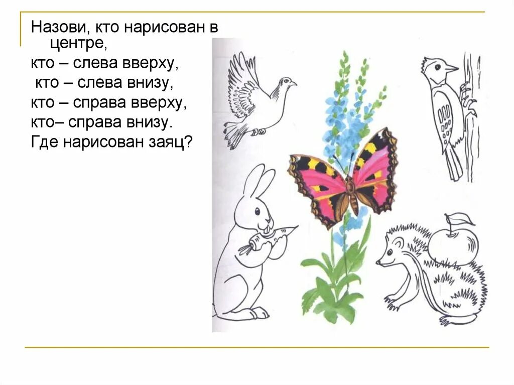Пространственные представления слева справа. Пространственные представления впереди сзади. справа слева сверху снизу дошкольников. развивающие задания сверху снизу справа слева. справа слева сверху снизу задания для дошкольников.