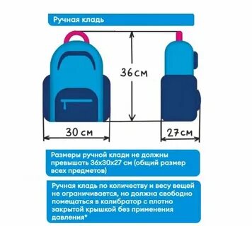 Ручная кладь казахстан что можно