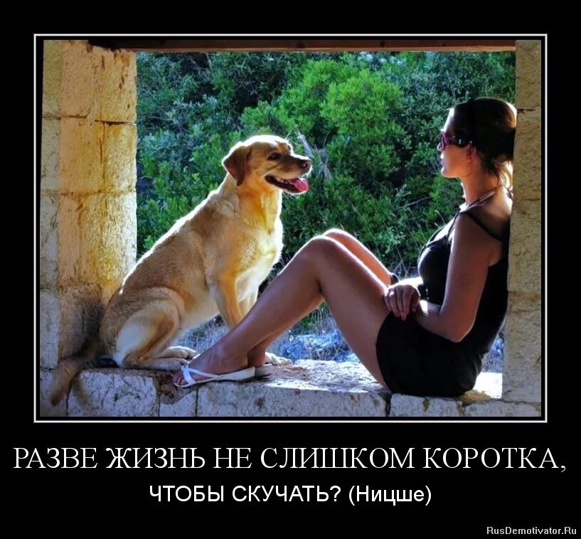 Любовь на расстоянии красивые. Кукушка разве это жизнь. Д. Разве. Я веду здоровый образ жизни мем.