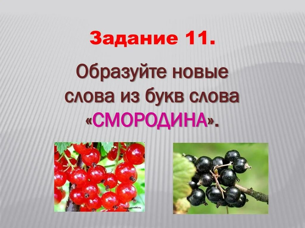 Черная смородина песня слова текст. Родина смородина. Слово смородина. Смородина словарное слово. Смородина задание.