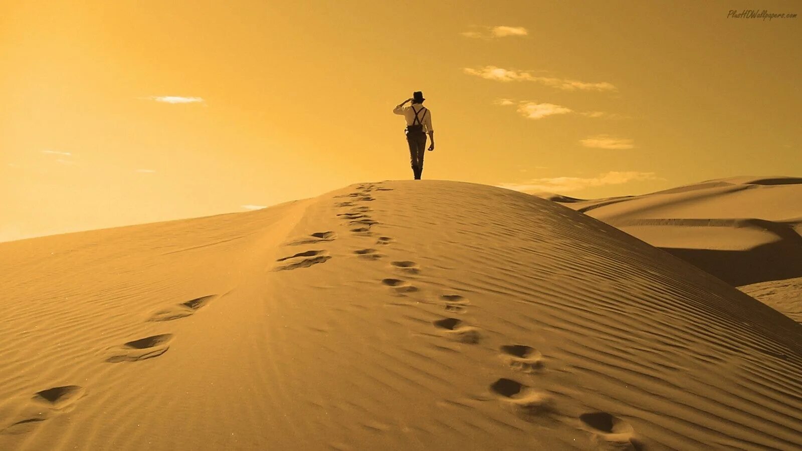 As the sand remembered reverse. As the sand remembered reverse. Надпись бали на песке. Jeff beck-rock 'n' roll party (honoring les paul). Следы в пустыне.