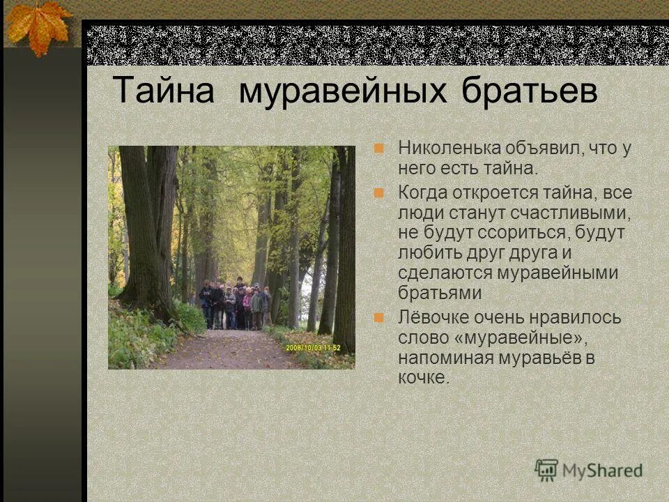 Выберите место для временного жилища. Муравейные братья это. Муравьиное братство льва николаевича толстого. Муравьиное братство толстой 3 класс. Тайна муравейного братства л.