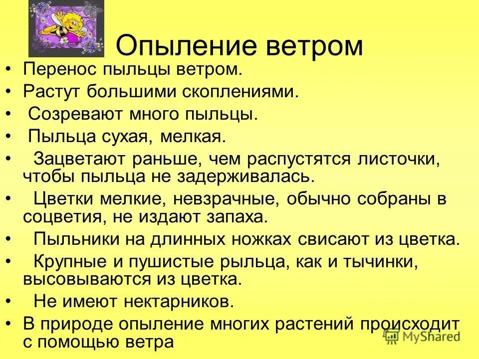 Позёмка что это такое для детей. Ветер переносится. Ветер переносится. Опыление ветром. Легкая поземка.