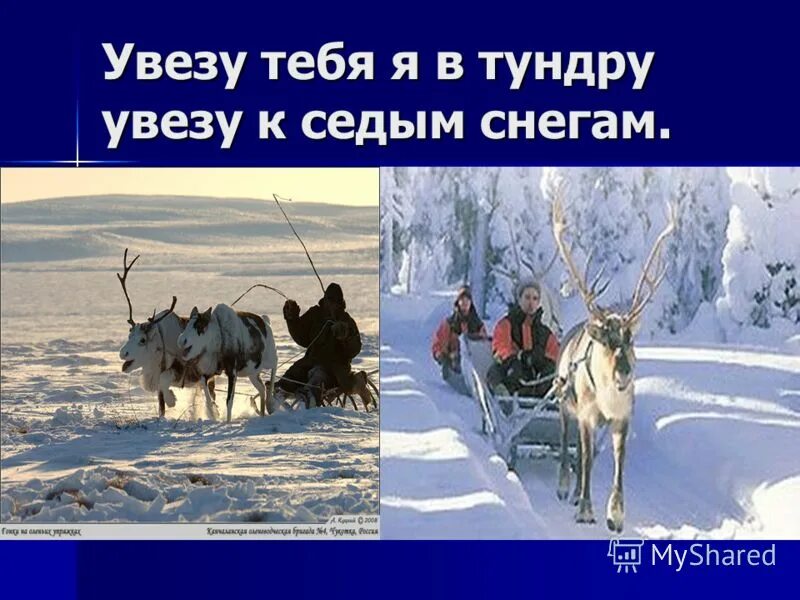 Увезу тебя в тундру. Увезу тебя я в тундру увезу. Увезу в тундру. Увезу я в тундру.