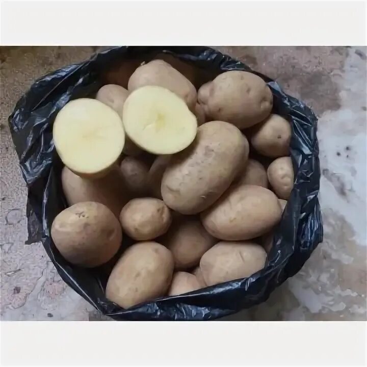 ПРОДАЁМ КАРТОФЕЛЬ БРИЗ ОПТОМ ООО "ПОСТИЖЕНИЕ"