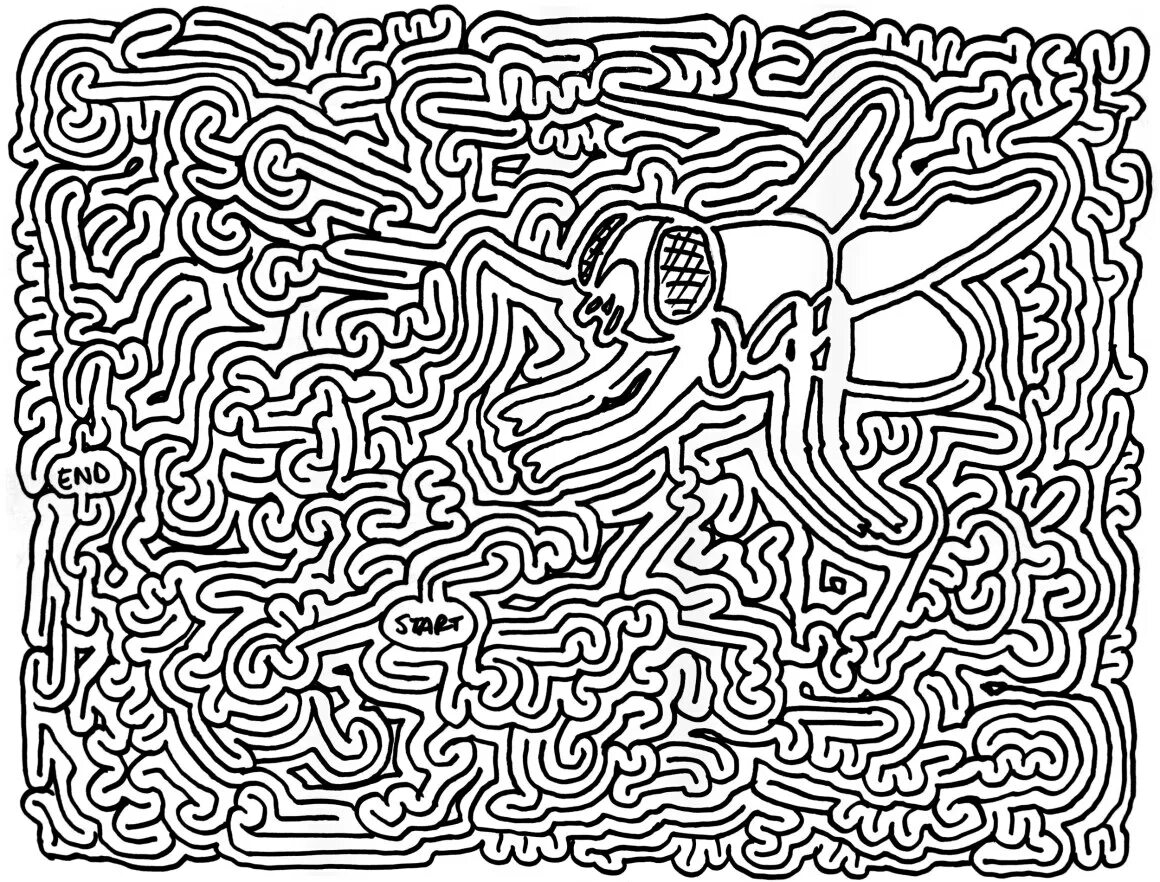 Maze puzzle