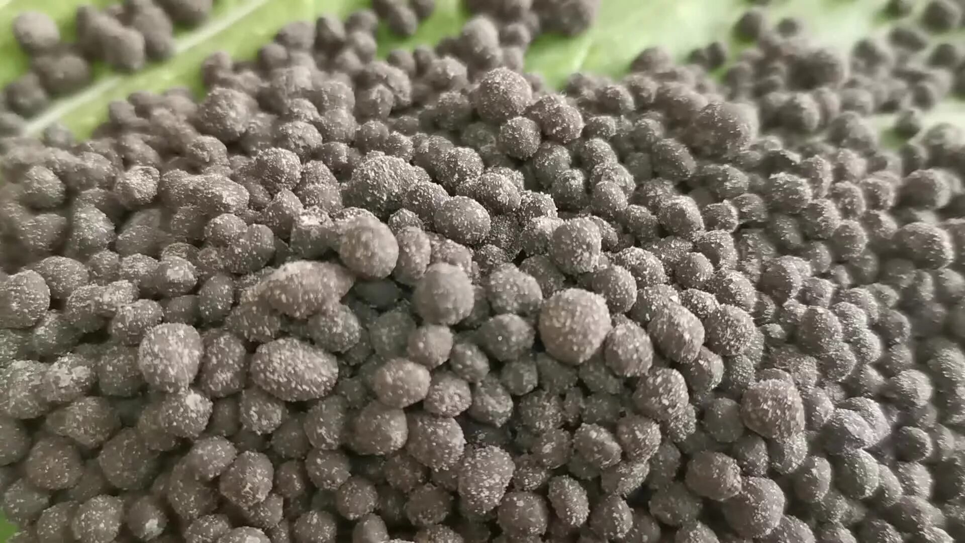 Organic fertilizer