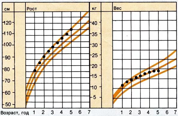 Диаграмма роста ребенка. Диаграмма роста и веса. График роста и веса ребенка. График роста и возраста.