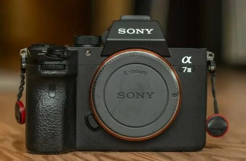 Sony body