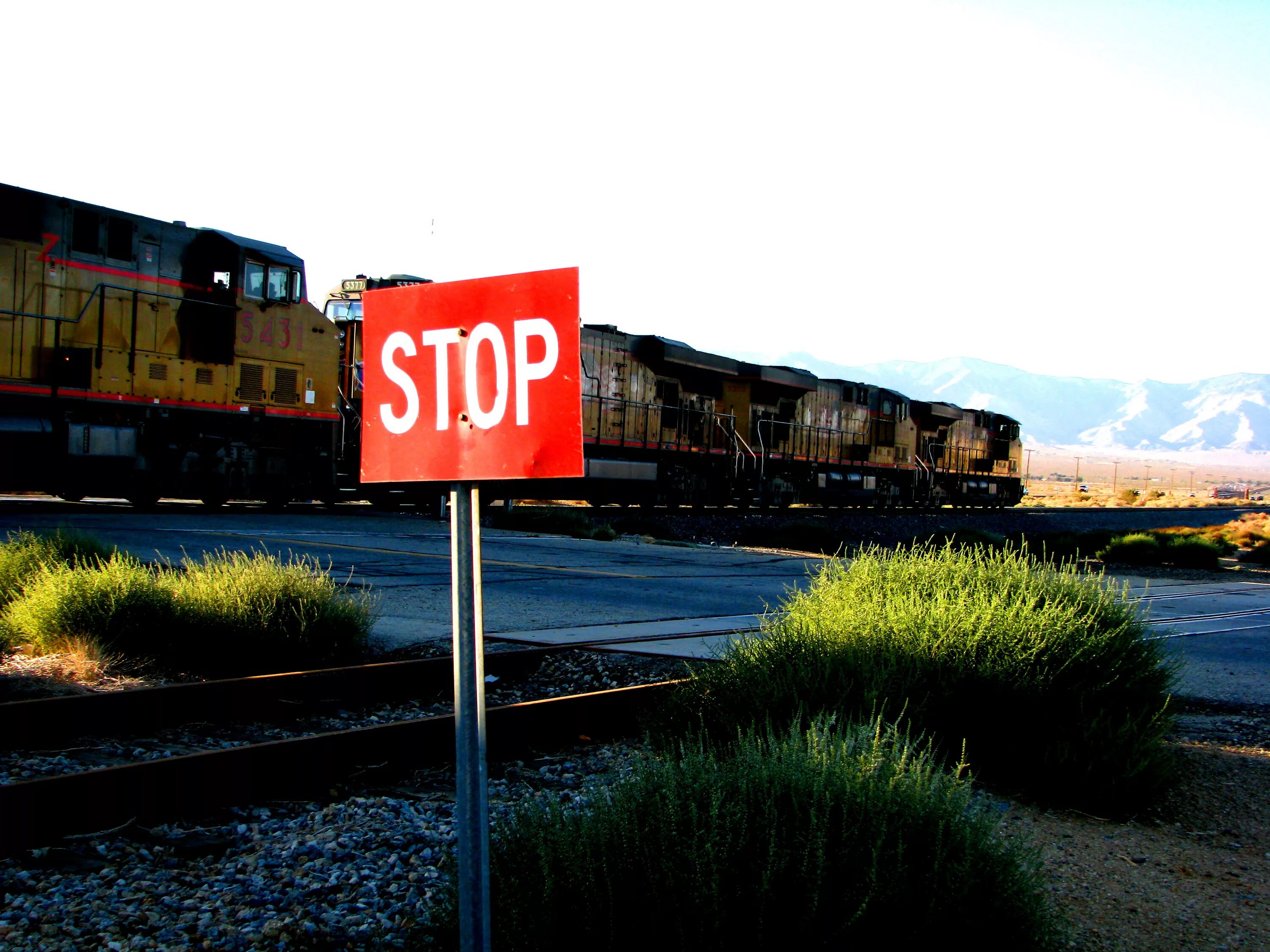 Стоп поезд. Автостоп железная дорога. Stop, Train,stop. Знак стоп поезд едет.