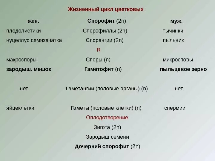 Сравните функции гаметофита. Гаметофит и спорофит у растений таблица. Чередование поколений у растений таблица. Спорофит и гаметофит различия. Сравнительная характеристика спорофита и гаметофита.