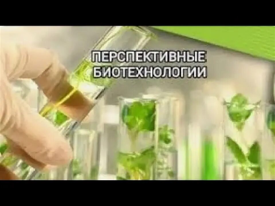 Перспективы развития биотехнологии. Биоинженер. Мировой рынок биотехнологий. Компания перспективные биотехнологии. Компания перспективные биотехнологии.