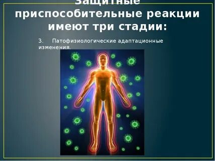 Система защиты человека