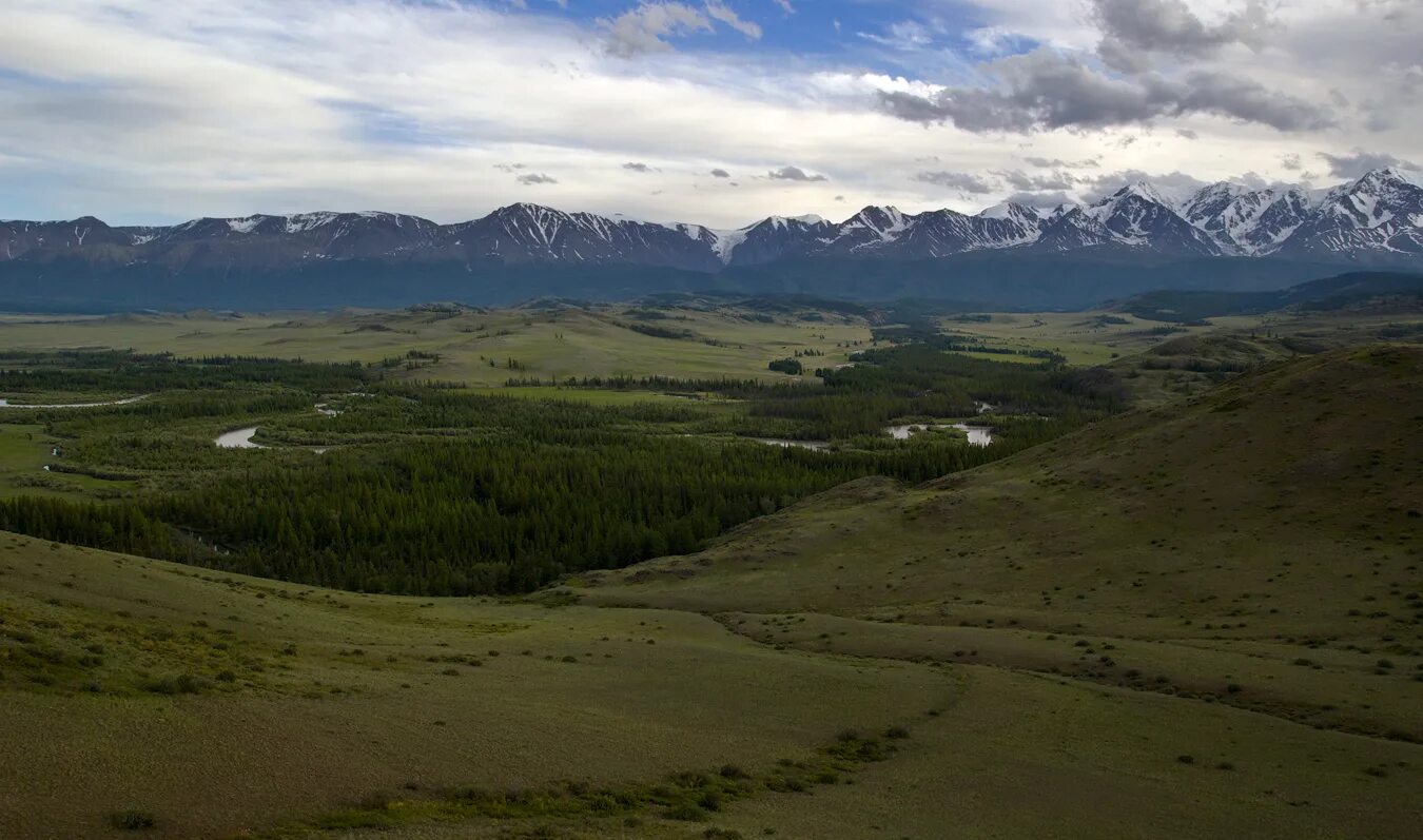 Курай (Республика Алтай). Башкортостан курай. Курай Киргизии. Курай Алтай летом.