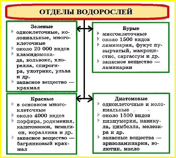 Отделы водорослей биология. Особенности отдела водоросли. Характеристика основных отделов водорослей. Таблица отделы водорослей 7 класс биология. Основные отделы водорослей, их характеристика.