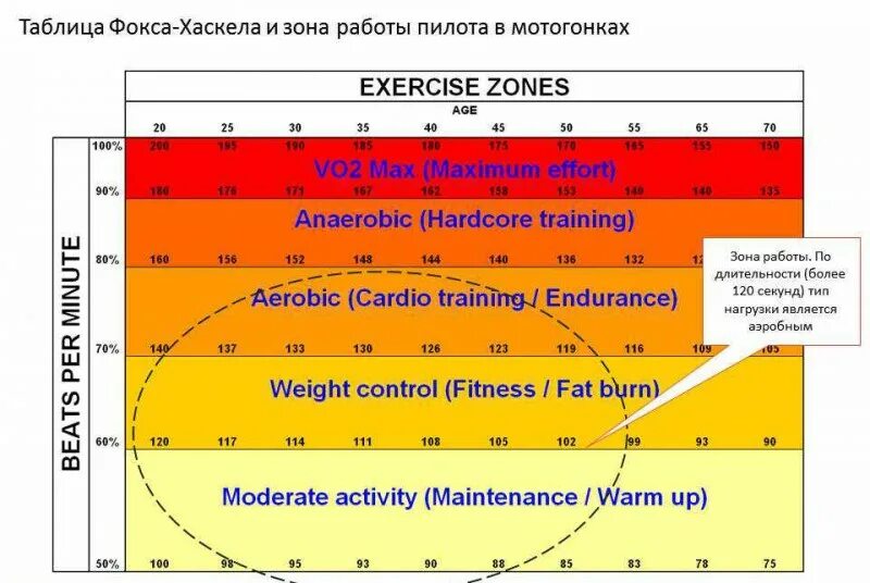 График работы летчика