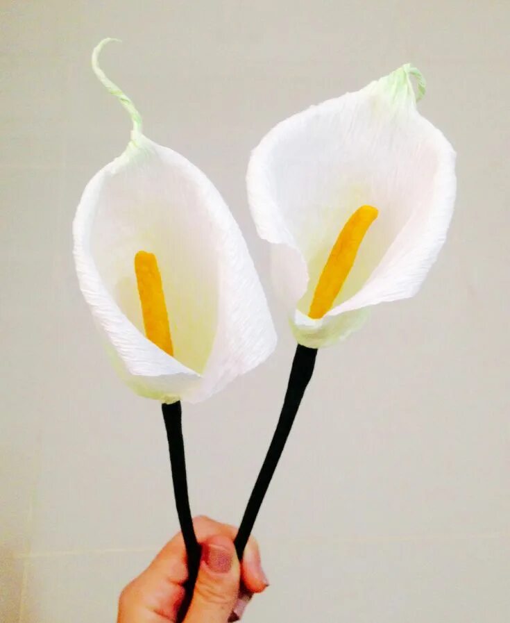 De Todo, Un Poco .: Calas de papel crepé con caramelos Chocolate flowers bouquet