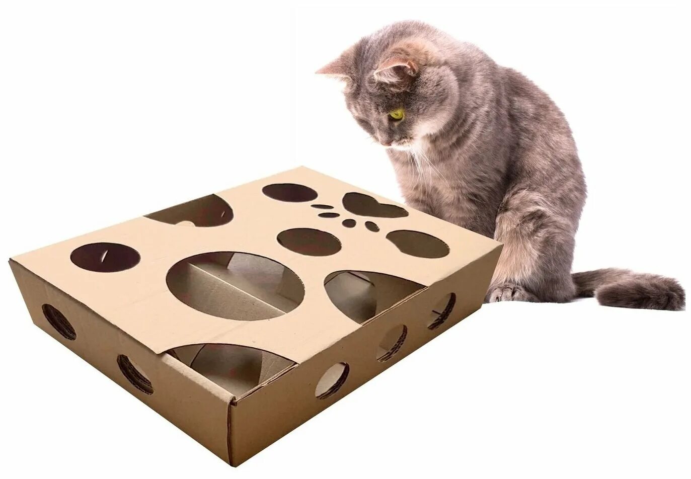 Игрушка для кошки "коробка". Когтеточка картонная с игрушкой. Ferplast когтеточка для кошек. Коробка для кошки. Игрушка для кошки "коробка".