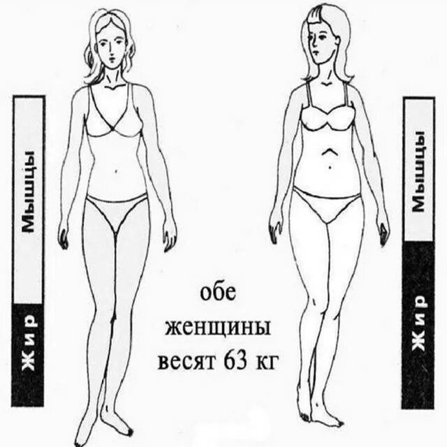 Идеальные женские параметры. Идеальные параметры женского тела. Идеальный вес для роста. Идеальный вес при росте 165 см. 167 идеальный рост