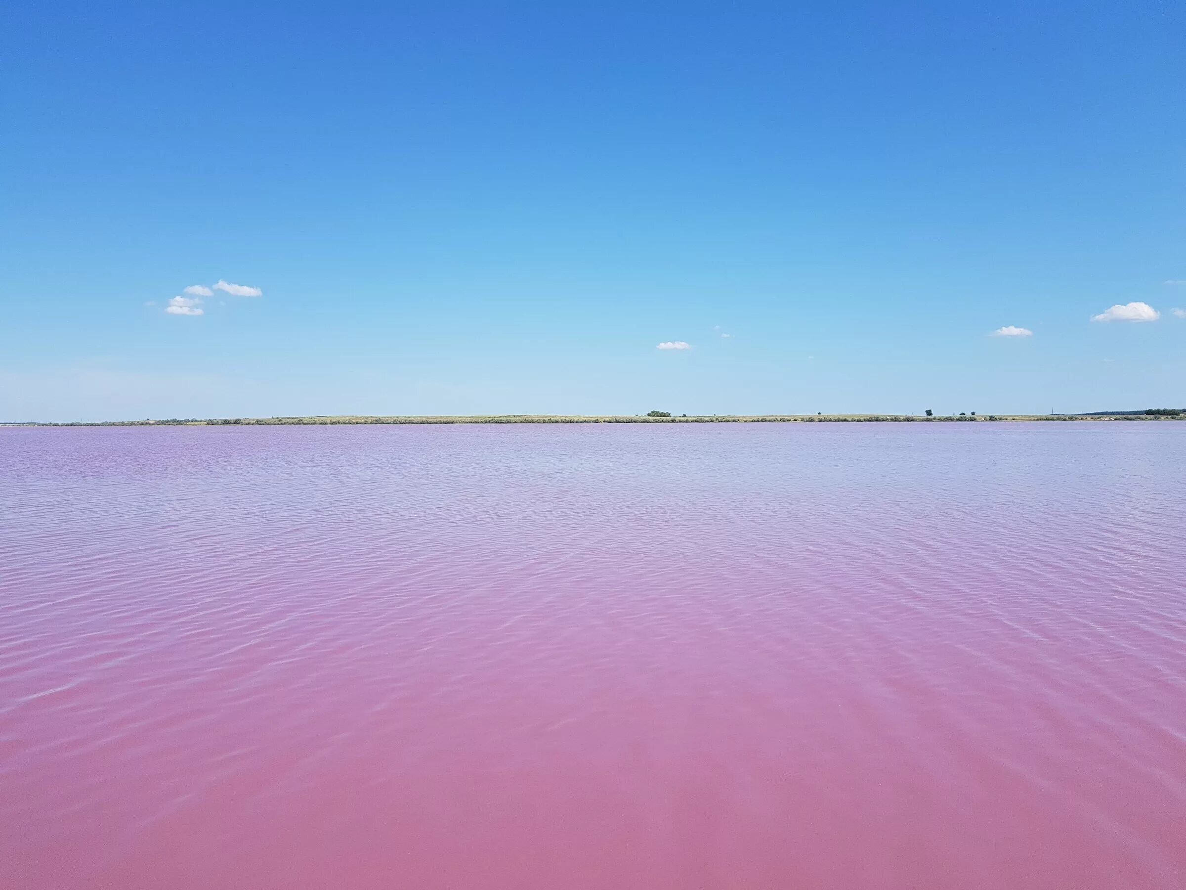 Озера алтайского края фото. Малиновое озеро Алтайский край Михайловский район. Малиновое озеро (Михайловский район). Алтай Михайловский район малиновое озеро. Малиновое озеро озеро Алтайский край.