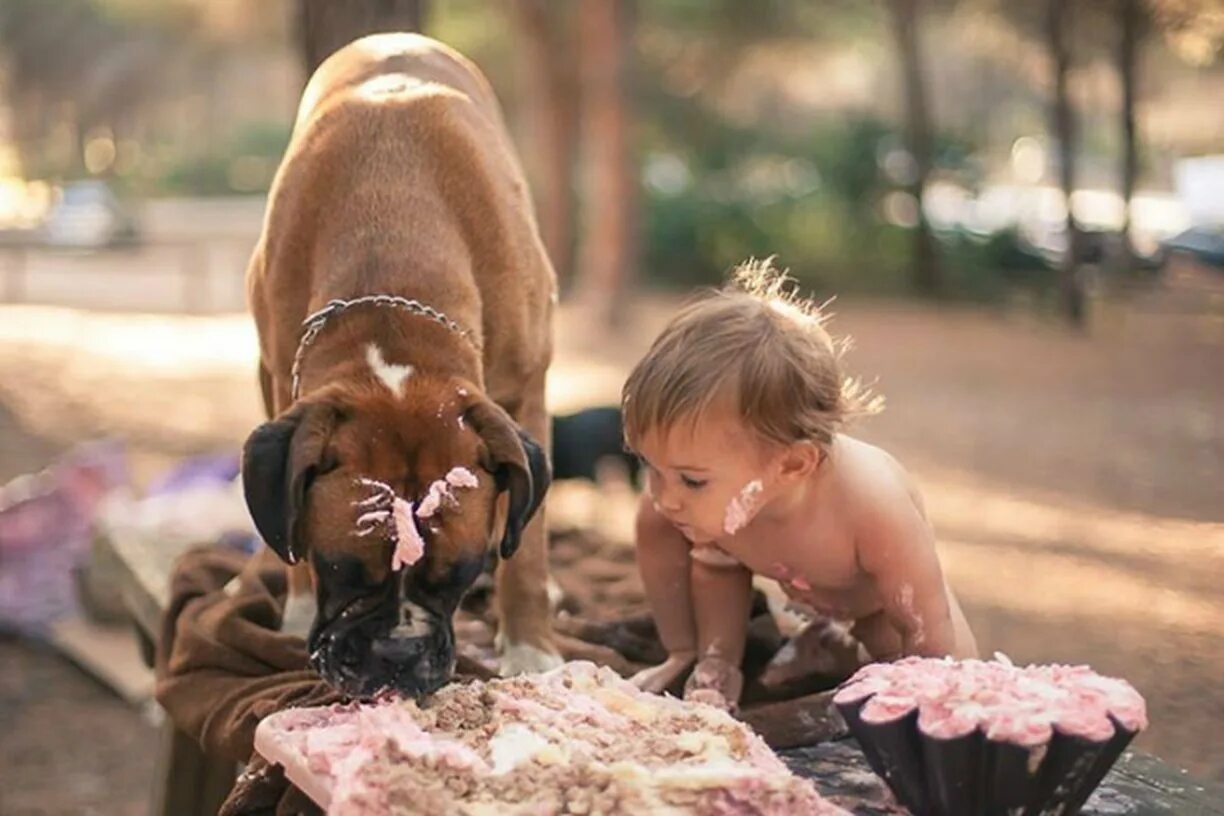 У собак есть дети. Для детей. Животные. Забавные дети и животные. Собака для детей. Прикольные картинки с детьми и животными.