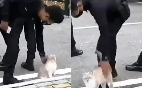 Не смогу устоять перед
