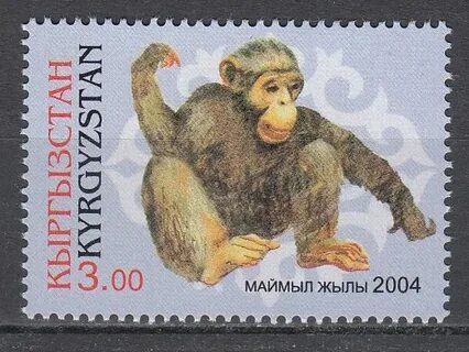 Обезьяна 2004