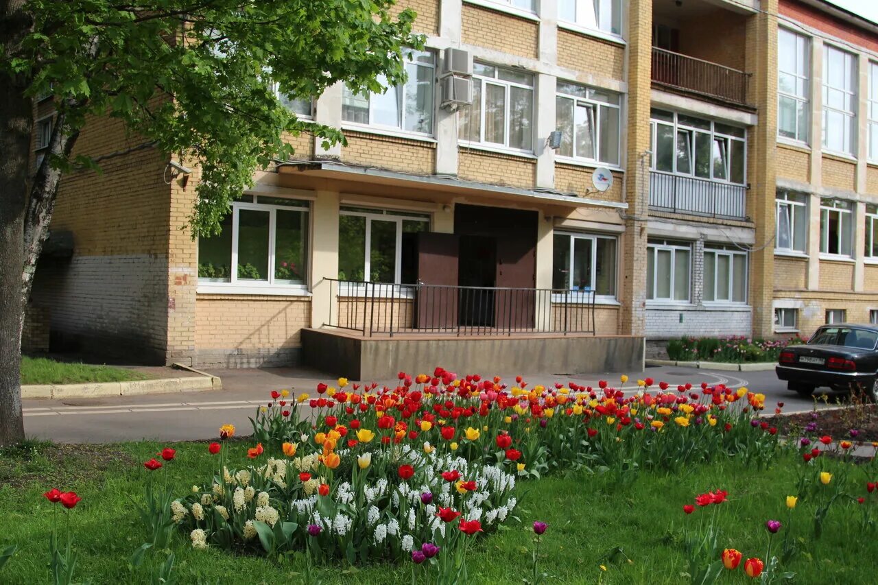 интерната государственные интернаты санкт петербурга. школа 49 стрельна. школа-интернат 33 выборгского района. психоневрологический интернат 10 санкт-петербург. школа-интернат № 1 имени к.