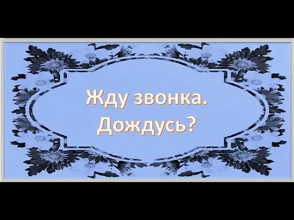 Ура дождались. Девочка с телефоном. Котик ждет. Ну наконец то дождались. Звони подожди.