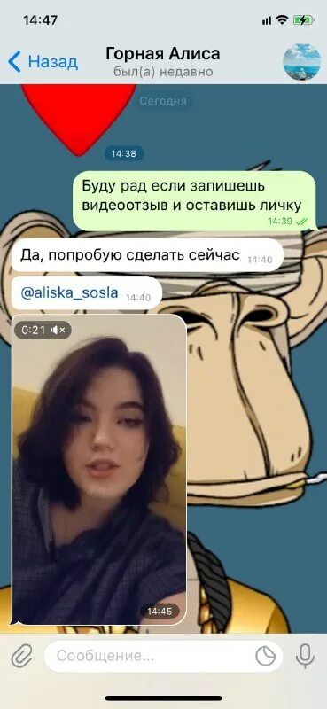 Алиса прислала васе ссылку на новую программу