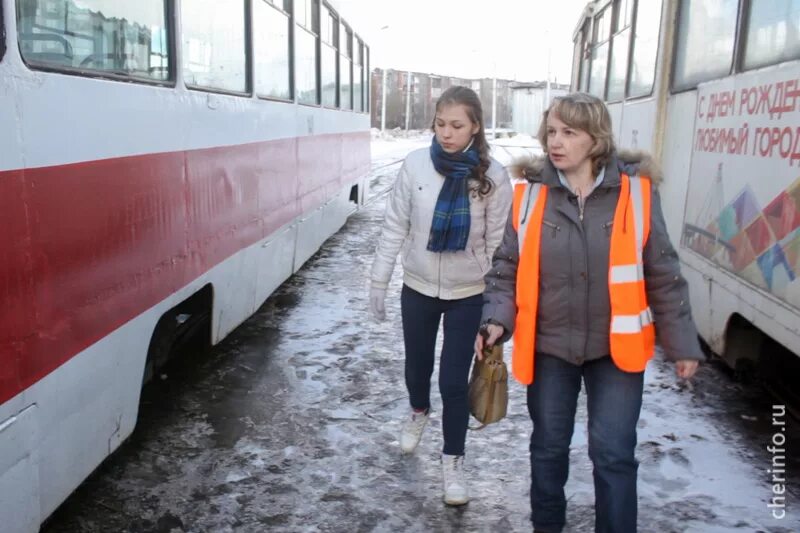 МУП Электротранс Череповец. Директор Электротранс Череповец. Водители трамваев Череповец. МУП Электротранс Череповец первый трамвай. Стань водителем трамвая