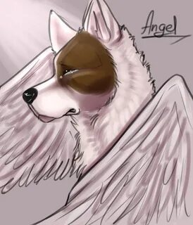Angel dog