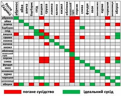 Можно ли рядом с