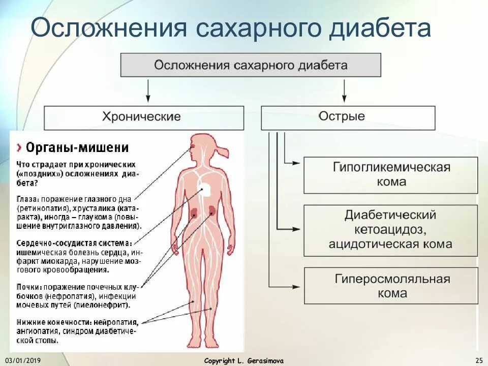 Органы мишени при сахарном диабете у детей. Органы мишени сахарного диабета 2 типа. Органы мишени сахарного диабета 1 типа. Осложнения при сахарном диабете 1 типа и 2 типа. К осложнениям сахарного диабета относятся