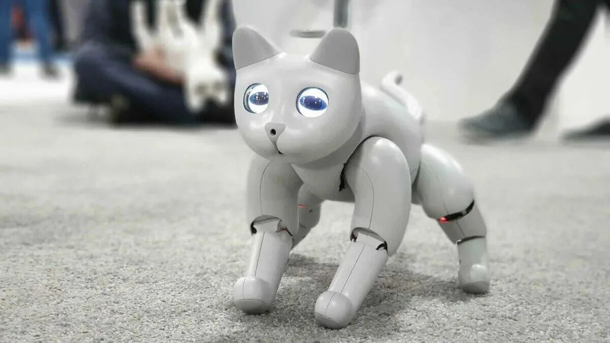 Робо кот. Marscat робот-кошка. робо коты. роботы собаки и кошки. реалистичный робот кошка.