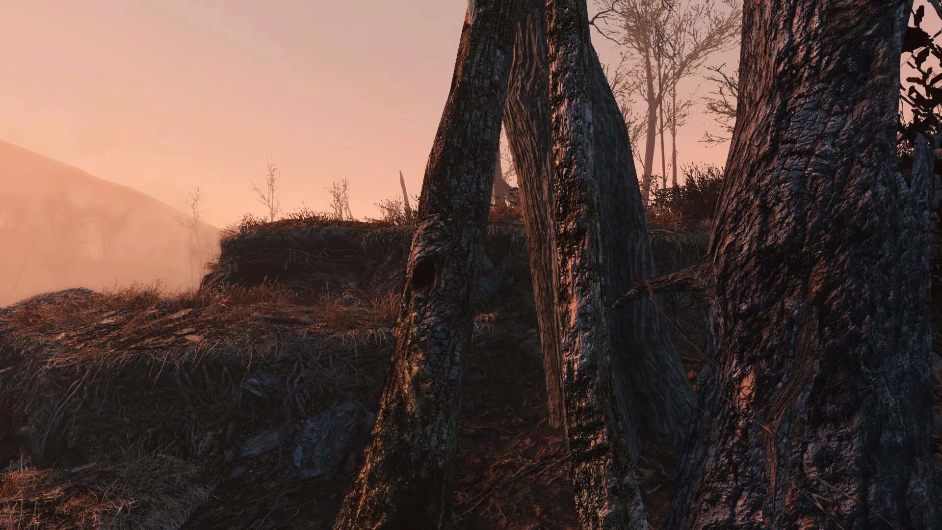 Vivid fallout all in one. Фоллаут 4 мод на деревья. древесина фоллаут 4. fallout 4 дерево.