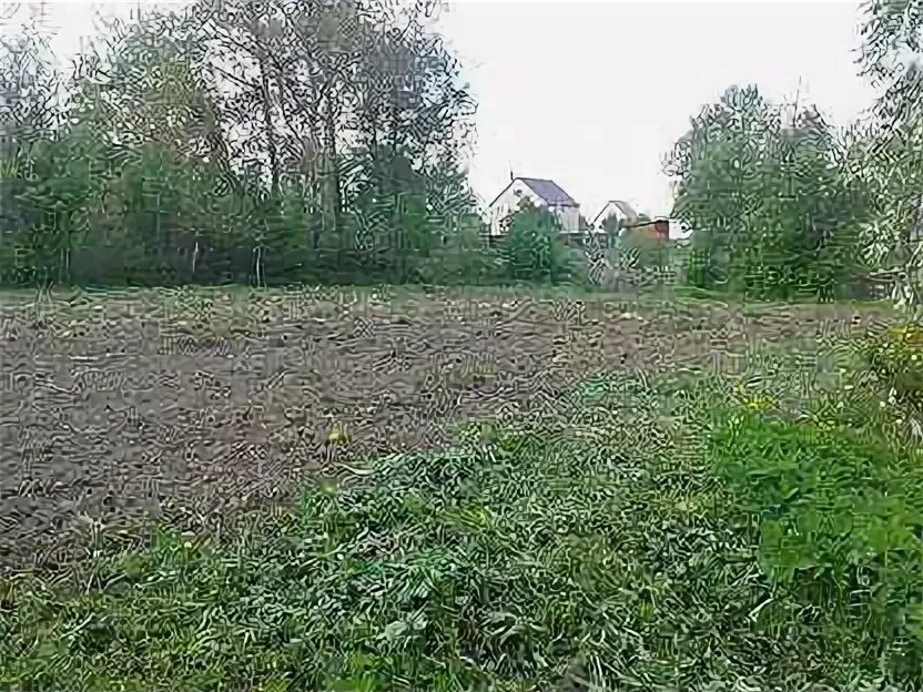 Деревня малое карасево. Деревня малое карасево. Деревня малое карасево. Деревня карасево. Коломна деревня.