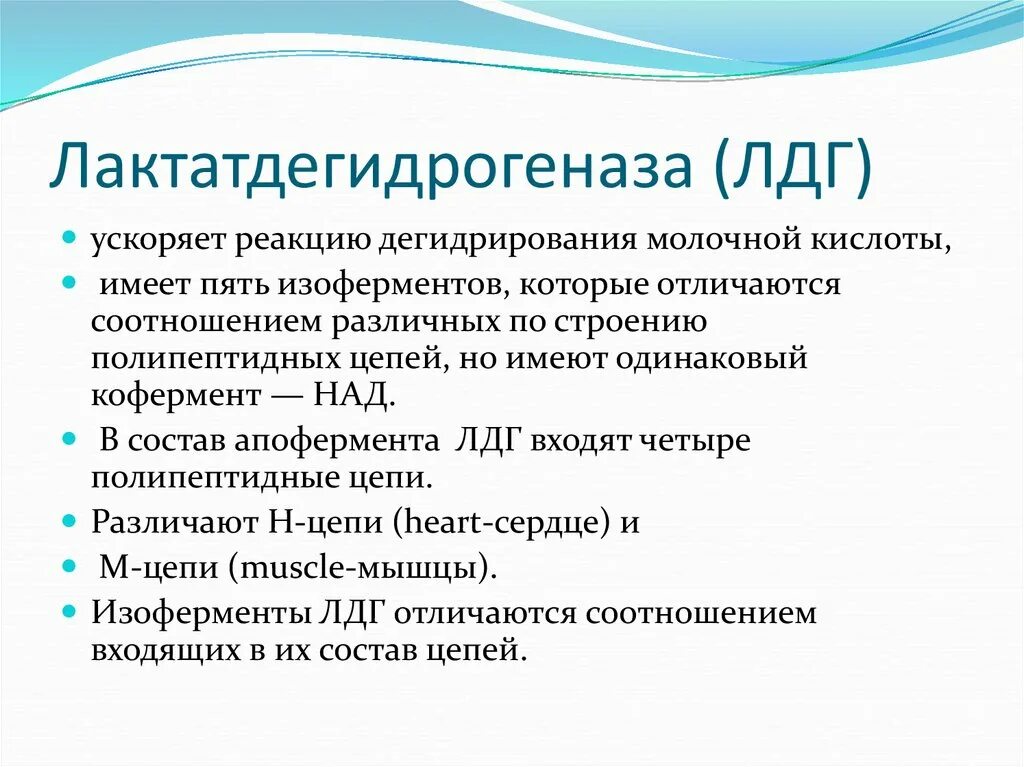 Фермент лдг. ЛДГ биохимия функция. Лактатдегидрогеназа. ЛДГ функции. Лактатодегид рогеназа.