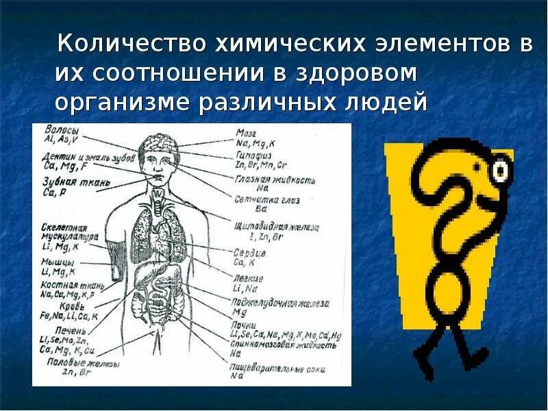 Химические элементы в волосах. Химические элементы и соединения в организме человека. Интересные химические элементы. Химические элементы в волосах. Химия в организме человека.