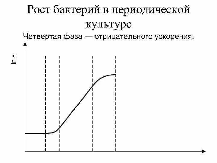 График размножения бактерий. Фазы роста периодической культуры бактерий. фазы роста микроорганизмов. кривая роста микроорганизмов. кинетическая кривая роста микроорганизмов.