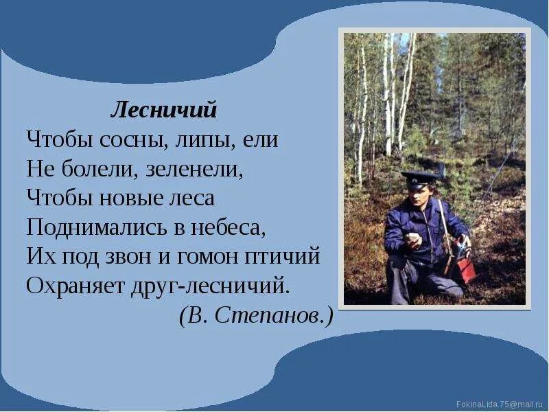 Предложение про лесника 3 класс. Лесник профессия. Лесник король и шут текст. Текст шел лесничий из сторожки. Шёл по лесу музыкант трогая берёзы.